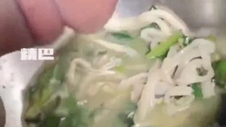 中国精品久久久久久久久久久-小鸟酱与小果酱写真
