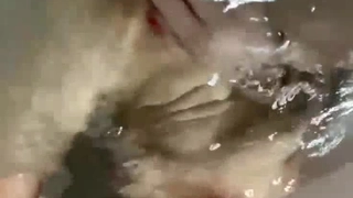 自拍无码精品在线观看-深谷で田植えをする稲作農家の巨乳嫁 観月しおり的的!